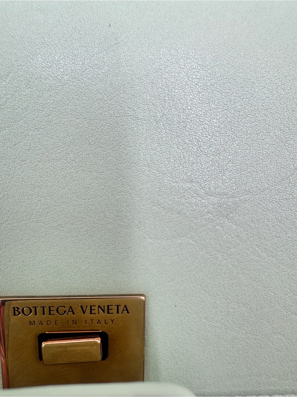 NEW Bottega Veneta Desiree Cross-Body Bag - Picture 9 of 14